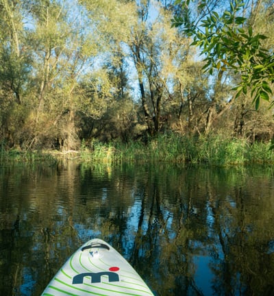 paddle board on lake