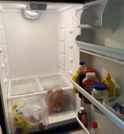 a refrigerator with a refrigerator door open and a chicken in it