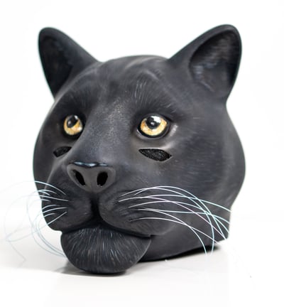 a black cat with yellow eyes and a black cat