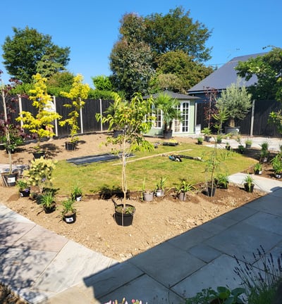 Paving complete, planting laid out