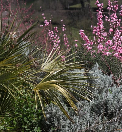les jardins