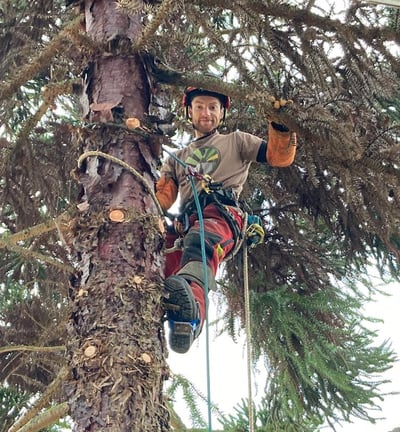 Fred Arborize
