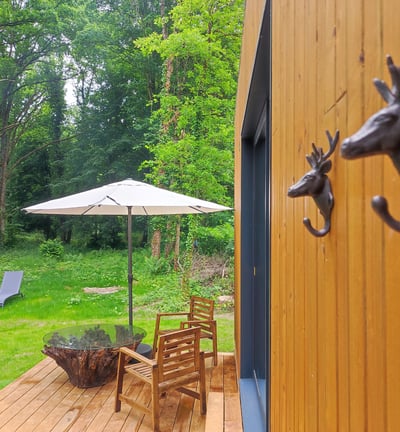 Table de petit déjeuner avec vue sur la forêt