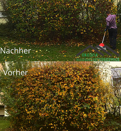 Hecken schneiden