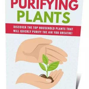 a book cover of purifying plants