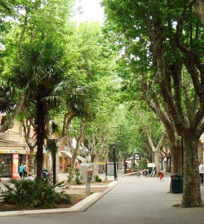 Viale dei Platani, Bellaria, vacanze al mare, offerte hotel, last minute bellaria