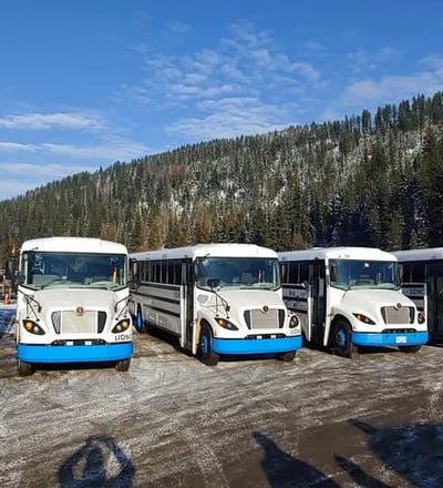 a group of buses parked in a row
