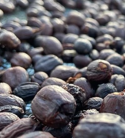 Natural Dopamine Coffee