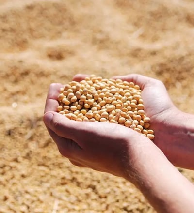 commodities