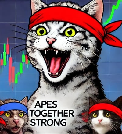 a cat with a red bandannard and a red bandannard with a