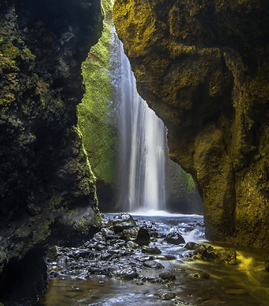 Nauthúsagil – A Mossy Wonderland