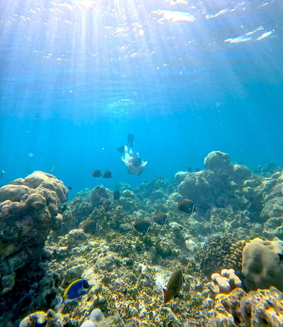 Jumeirah Olhahali Island Maldives snorkelling dive