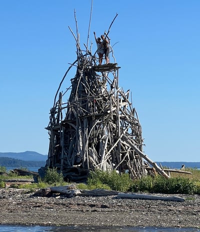 unique driftwood structure