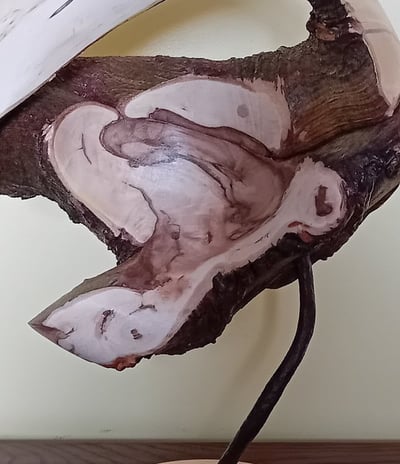 Sculpture of turned ivy branches mounted on a rusted bar on a flat turned oak stand