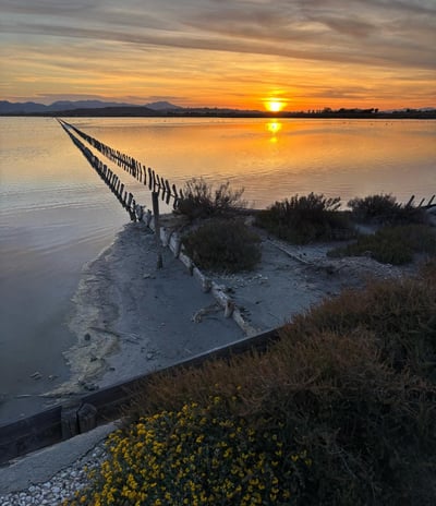Sunset over the Molentargius wetlands in Cagliari, Sardinia, with a wooden barrier