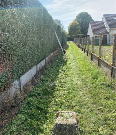 création de palissades et clôtures