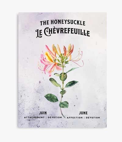 chevrefeuille