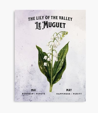muguet