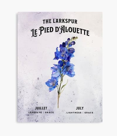 pied-d'alouette