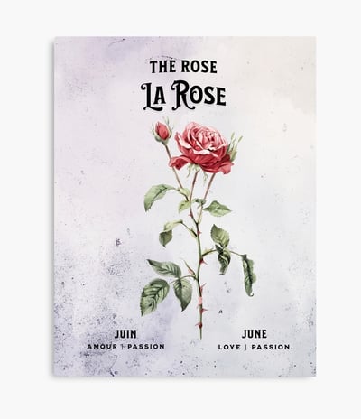 rose