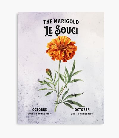 souci