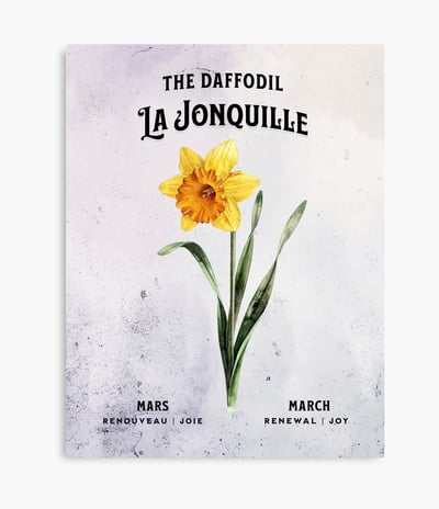 jonquille jaune
