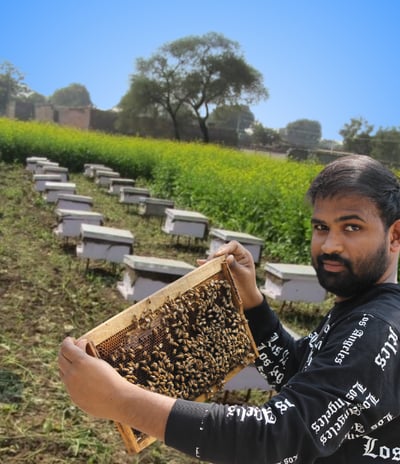 Best Organic Honey In India