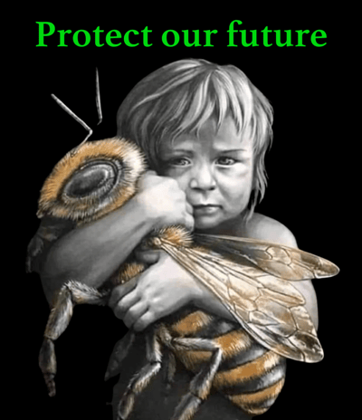 Best Organic Honey in India