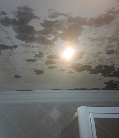 Severe Black Mould Growth on Bathroom Ceiling