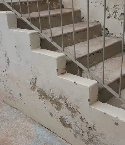 Cracked and bubbling paint, Environmental Pro Construction inspection