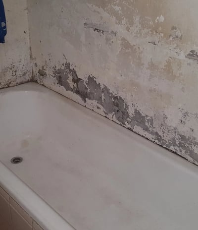 Condensation damp inspection Roodepoort