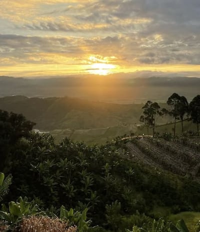 Paisaje Dopamine Coffee