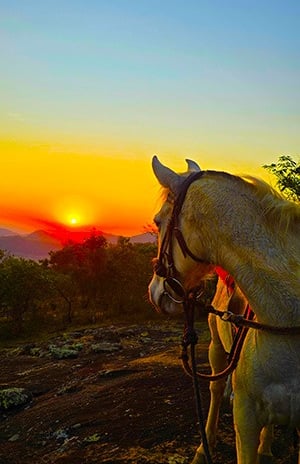 Passeio a Cavalo Pousada VilaDangeloCachoeira Munhoz MG Brazil