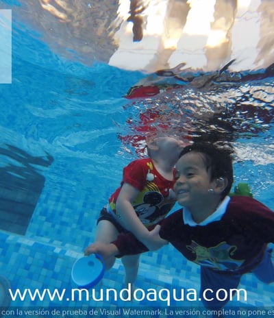 a boy swimming in a pool with a dolphin