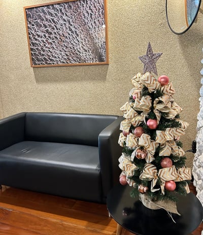 Fulget parede condominio