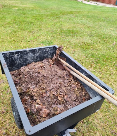 spring yard cleanup