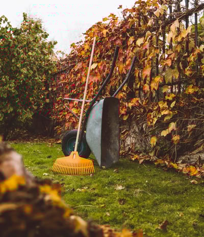 a garden tool with a broom and a broom