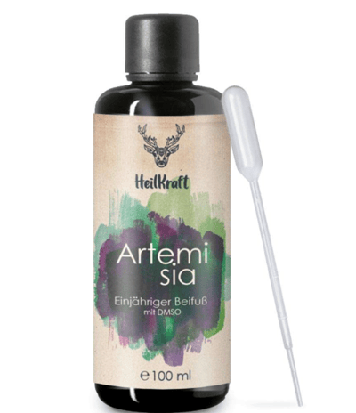 Artemisia Annua - Einjähriger Beifuß - THP Nicole Hempel