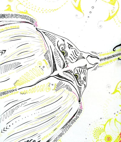 dessin de raie manta aux motifs psychédéliques au feutre fin r