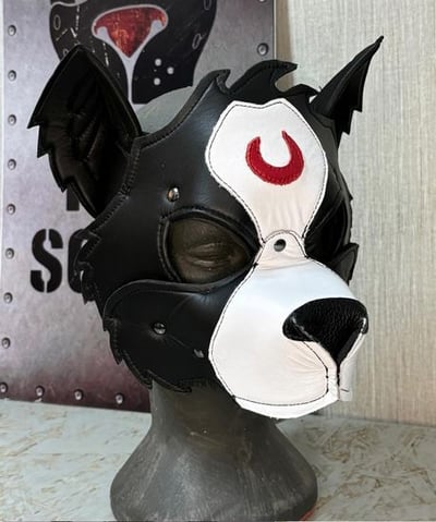 Leather dog mask