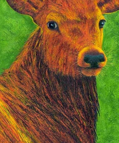 Acrylic painting of a stag deer