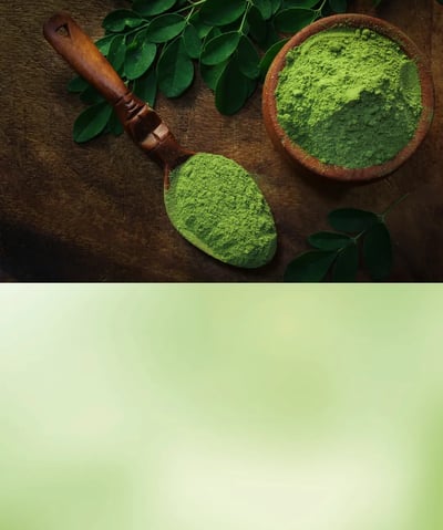 Green moringa powder in a ceramic bowl with fresh moringa leaves nearby