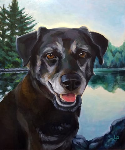 A black dog with graying fur around her eyes and muzzle sits before a mountain lake.