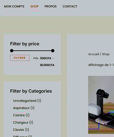 Exemple de site Web fait par NeoCodex