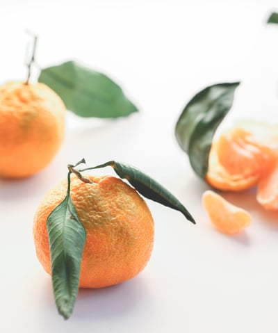 healthy recipes blog