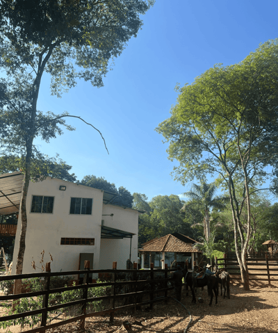 Finca de venta inmobiliaria krekeet