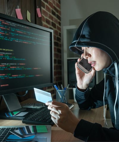 Fraud Awareness and Risk Management in the Public Sector