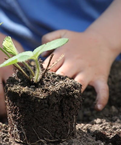 potager de famille