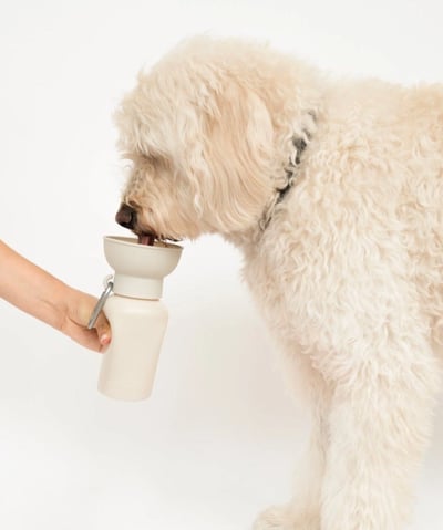 dog water bottle, silicone dog water bottle with cup, dog water bottle with cup, travel dog water