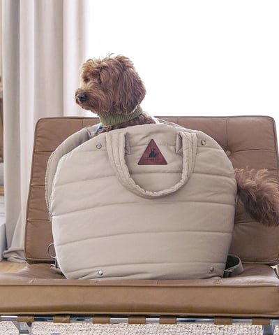 dog travel bed, foldable pet bed, small dog carrier bed, big bag pet bed